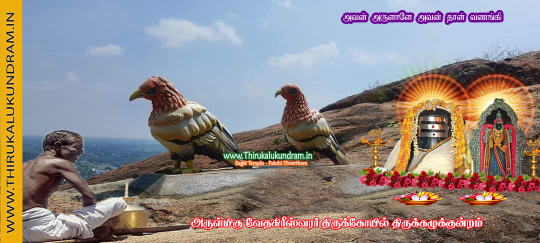 Thirukalukundram Temple Eagle